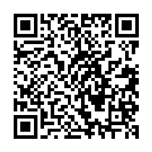 原本阿拉丁在对抗秘社的全局之中是最为至关重要的一颗棋子二维码生成