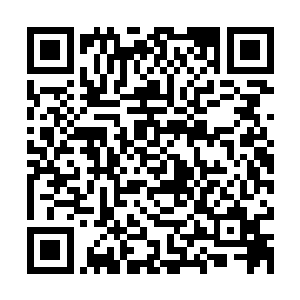 原本陆为民的想法是给予黄启才及其团队百分之十五的股权奖励二维码生成