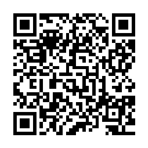 原本雷天是打算在大部分时间里都保持第二轮元力潮汐来修炼二维码生成