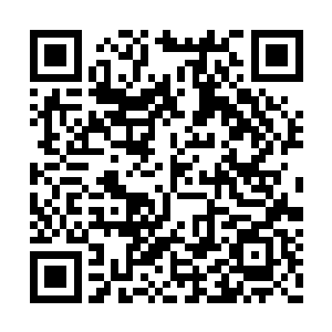 原本青涩的小丫头也长成了一个亭亭玉立的少女二维码生成