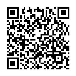 原本青灰色的手掌又多了一层绚烂的黄金色在指节中流动二维码生成