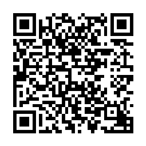 原本静若死物的辉晶精竟是突然涌出一股阴冷寒意二维码生成