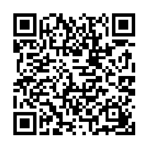 原本颇有些危险悲愤的战斗立刻就变成了篝火大会二维码生成