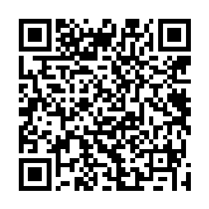 原本高高在上的诸葛世家顿时在他们的眼中不过蝼蚁一般二维码生成