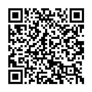 原本麒麟郡主还真被苏落的实力和气势给吓住了二维码生成
