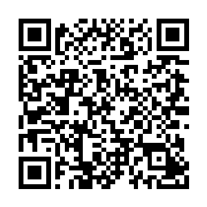 原本黄白眉和冷嫚雪听到张铁的话还有一丝怀疑二维码生成