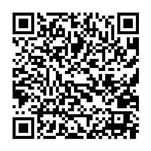 原本龙傲天以为有了钥匙之后只要找到了藏宝库就能够得到宝藏了二维码生成