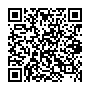 原本龙傲天心中很多对于天地间的至理也明悟了不少二维码生成