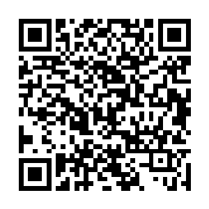 原来……慕容家族发现了万年冰洞地脉生成的新洞二维码生成