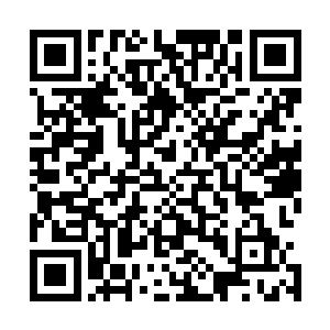 原来不让高冠继续查下去是留了后手为后面的继续考核铺路二维码生成