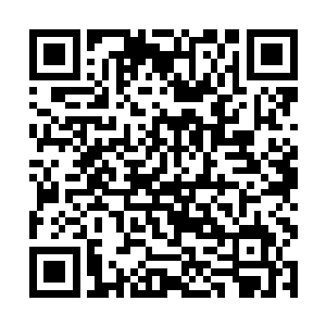 原来之前二哥转移了这么多的家族资产到你的账户上二维码生成