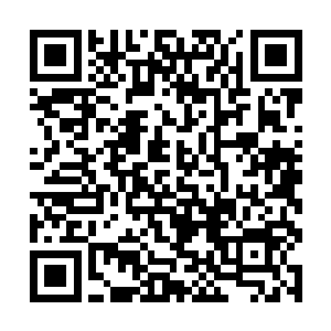 原来之前的变异嗜血藤吸收的并不是生命之源的能量二维码生成