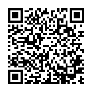 原来五行吾素仍旧只是那个只会蹦蹦跳跳的大腿组合而已二维码生成