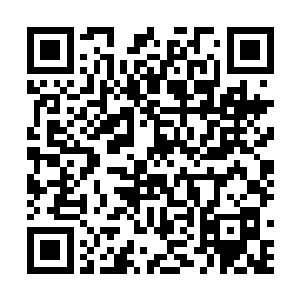 原来他也是长生族……不对啊~长生族为什么会长成这样二维码生成