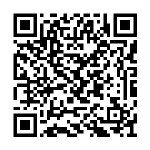 原来他们是想进入至高神殿获得海族之神的传承二维码生成