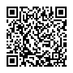 原来他们的投资人就是被自己烧死的那一群人啊二维码生成