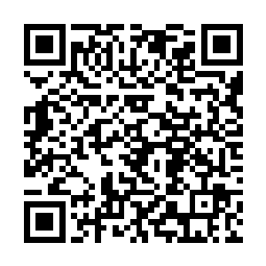 原来他这一拳是打散了火天尊意念对苍云圣火的控制二维码生成