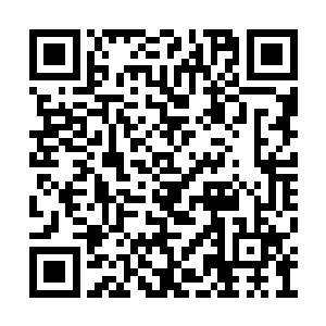 原来你就辰州符咒学院的教导处主任独孤文香啊二维码生成