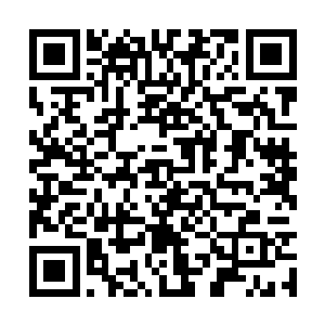 原来你早就知道他身上怀有芭蕉仙根这种宝物是吧二维码生成