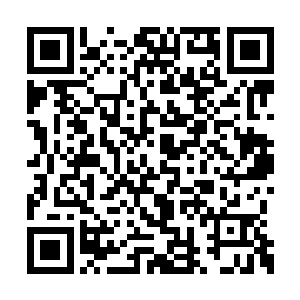 原来却都是些在登仙城长期厮混的无赖泼皮而已二维码生成