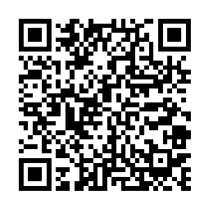 原来原主是可以再次回到原剧情中继续生活下去的……二维码生成