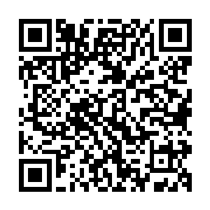 原来夕阳和后狮在下城中以祖神派遣的无角人神使麾下的名义二维码生成