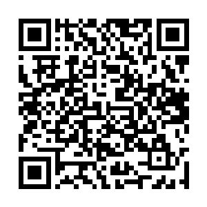 原来多出的传承讯息竟然都是一品仙丹的炼制方法二维码生成