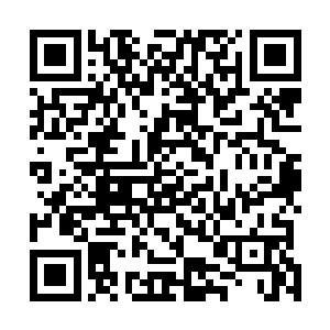 原来大房的庶长女林东纨和二爷林锦轩是一母所生的姐弟二维码生成