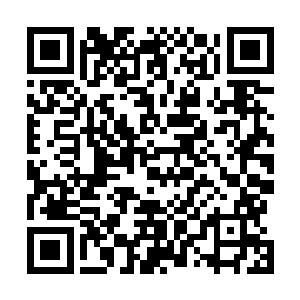原来她身边的伙伴都长大了……凌蘭竟然有种奇怪的心情二维码生成