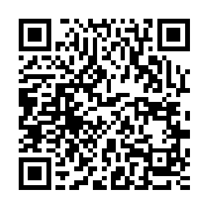 原来如此……拿盾的那个只是为了吸引我的注意力而已吗……二维码生成
