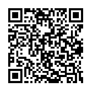 原来宫清泉和莫敬意的手工艺都是炼制战斗傀儡二维码生成