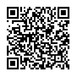 原来康少这几年没怎么在圈子里出现是去了缅甸二维码生成