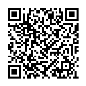 原来当招待所主任的时候还侍候过陆为民的起居二维码生成