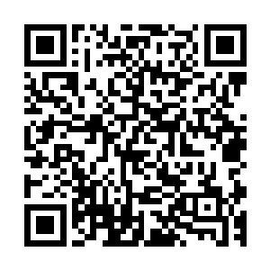 原来懒洋洋躺在兽皮椅子上的黄鼠狼大王听了一下子翻身坐起二维码生成