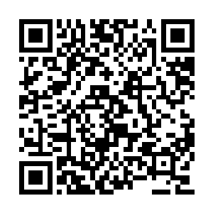 原来所谓的凶猛野兽只不过是一只只纸老虎而已二维码生成