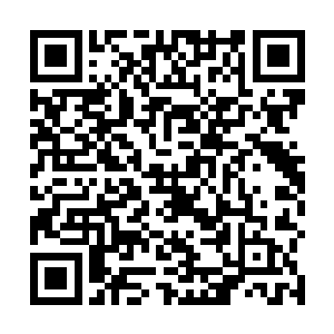 原来教我双节棍的教练根本就是只会这些花哨的东西嘛二维码生成