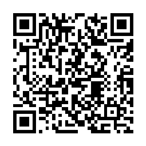 原来是一个小小的身体里竟然装着一个大大的灵魂二维码生成