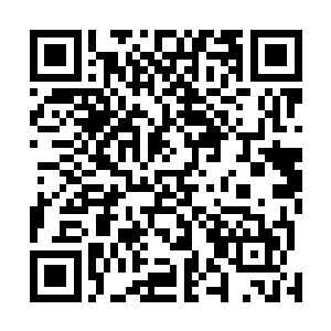 原来是他在西山的一块地皮之上和一些竞拍者之间的黑幕二维码生成