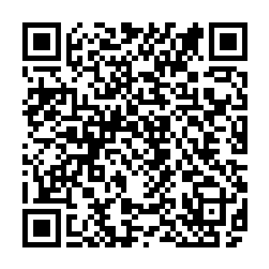 原来是她早在他们去到学校之前就找了学校领导如果他们知道找学校领导有用二维码生成