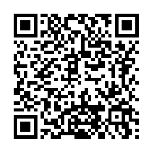 原来是这一团取自始境噬生兽大脑的一团血肉太珍贵了二维码生成