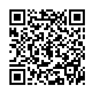 原来是这些星舰上的造梦师为虚空猎手营造的二维码生成