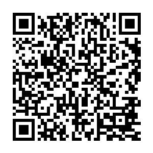 原来是这样我明白了我终于明白了这上面为什么会有如此恐怖的荒兽了二维码生成
