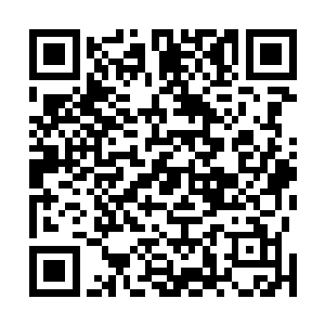 原来是那个小记者正在跟现场一个女子在做着现场的报导二维码生成
