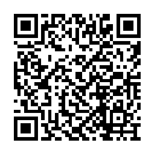 原来是那个被特别勒令在领地待上一年的少校啊二维码生成