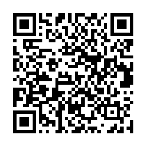 原来朵菲是在用吸取周围生物之生命力的方法给人治疗二维码生成