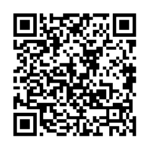 原来柳清浅想要和我一起共赴黄泉是因为不想再次失去我二维码生成