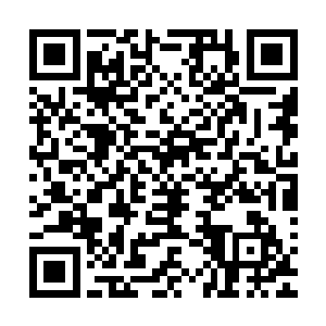 原来池佳一在那次训练系统中完成飞翔的动作时就开始怀疑了二维码生成