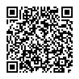 原来沙瓦又把他带到了曾和沙瓦第一次见面时的那个旧厂房所在的地方二维码生成