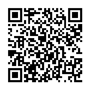 原来消失的几亿年里面居然发生过这么多的事情二维码生成