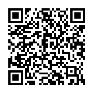 原来率五万近卫军击溃酉丁域百万精锐的是他啊二维码生成